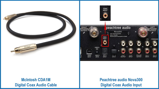 Digital coaxial audio cable and digital coaxial audio input