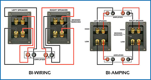 how to bi-wire your speakers