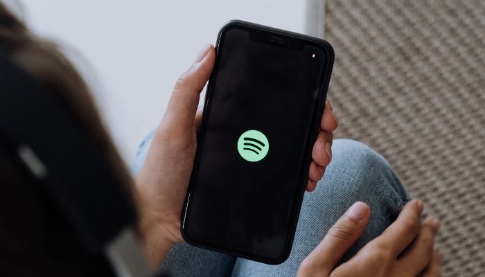 6 Best Spotify Equalizer Settings To Make Music Better 6 Best Spotify Equalizer Settings To Make Music Better