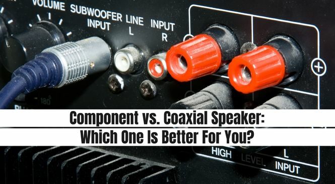 RCA vs. Subwoofer Cable: Which One is Better?