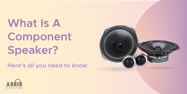 What is a Component Speaker